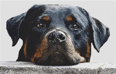 click here to view larger image of Rottweiler Watching (chart)