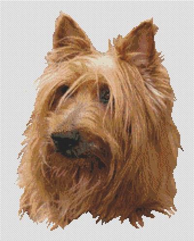 click here to view larger image of Australian Terrier (chart)