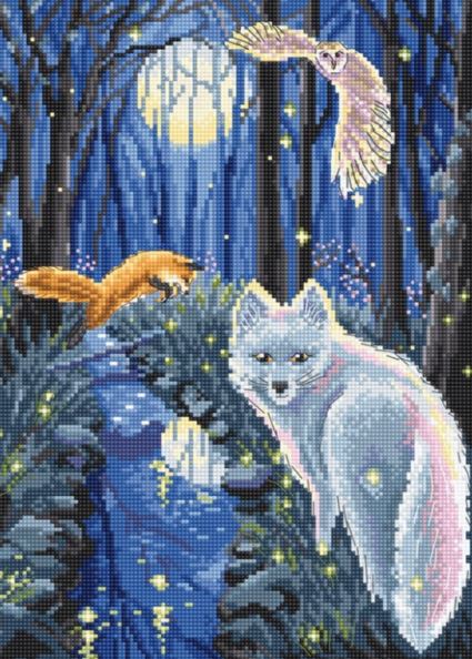 Janlynn Northern Lights Counted Cross Stitch Kit (11X14 14 Count)