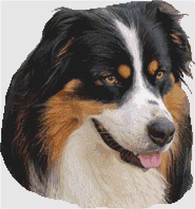 click here to view larger image of Australian Shepherd - Portrait (Tri) (chart)