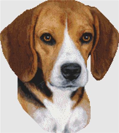 click here to view larger image of Beagle - Portrait (Tri) (chart)