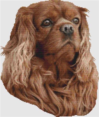 click here to view larger image of Cavalier Spaniel - Portrait (Ruby) (chart)