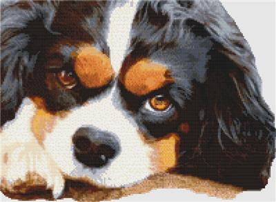 click here to view larger image of Cavalier Spaniel - Resting (Tri) (chart)