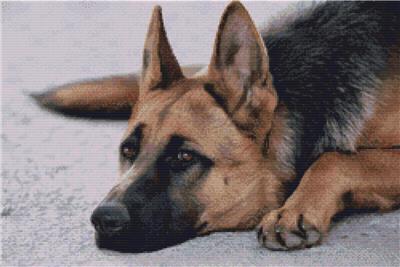 click here to view larger image of German Shepherd - Resting (chart)