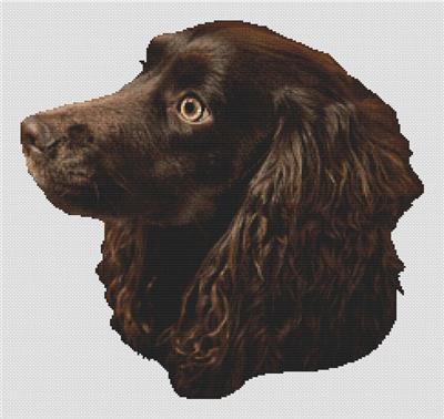 click here to view larger image of Boykin Spaniel (chart)