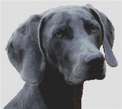 click here to view larger image of Weimaraner 2 (chart)