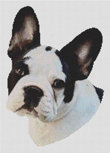 click here to view larger image of Spotted French Bulldog (chart)