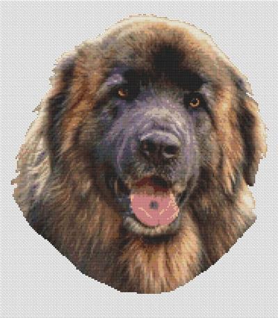 click here to view larger image of Leonberger (chart)