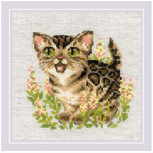click here to view larger image of Bengal Kitten (counted cross stitch kit)