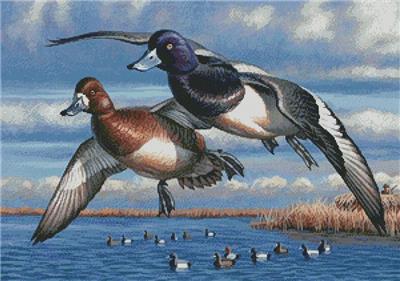 click here to view larger image of Bluebills (chart)