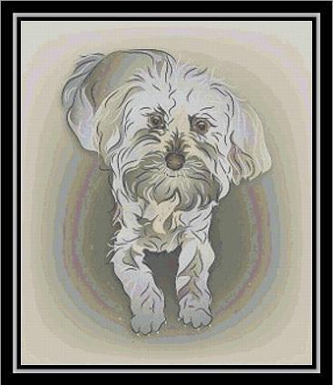 click here to view larger image of Maltipoo (chart)
