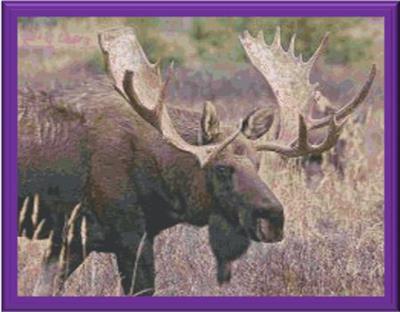 click here to view larger image of Moose in the Meadow (chart)