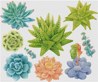 click here to view larger image of Set of Succulents (chart)