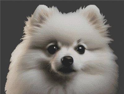 click here to view larger image of White Pomeranian (chart)