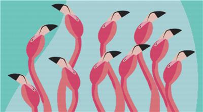 click here to view larger image of Flamboyance of Flamingos (chart)