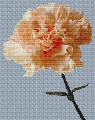 click here to view larger image of Peach Carnation (chart)