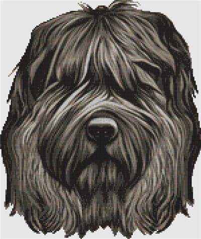 click here to view larger image of Bouvier - Portrait (chart)