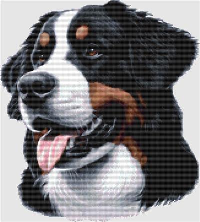 click here to view larger image of Bernese Mountain Dog - Portrait (chart)