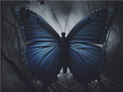 click here to view larger image of Haunted Blue Butterfly (chart)