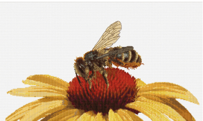 click here to view larger image of Bee on Echinacea (counted cross stitch kit)