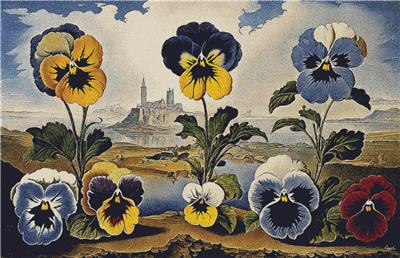 click here to view larger image of Surrealist Pansies (chart)