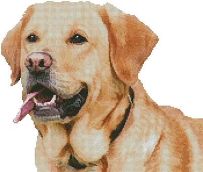 click here to view larger image of Mini Labrador Retriever (No Background) (chart)