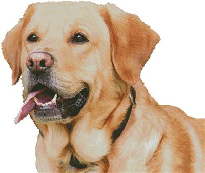 click here to view larger image of Labrador Retriever (No Background) (chart)