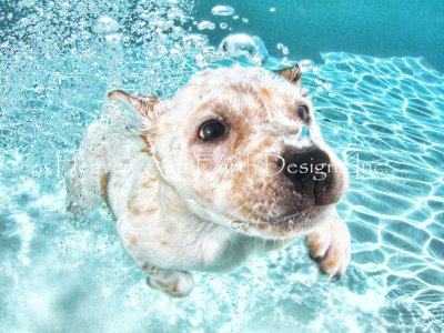 click here to view larger image of Corey - Underwater Dogs (chart)