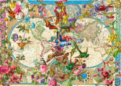 click here to view larger image of Birds Butterflies and Blooms World Map/Mini - Aimee Stewart (chart)