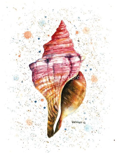 click here to view larger image of Sea Shell - Dave Bartholet (chart)