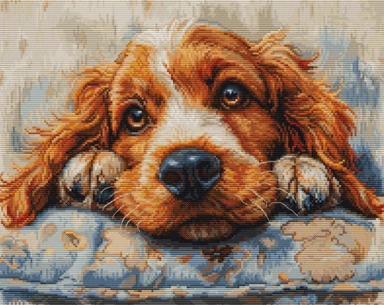 click here to view larger image of Cocker Spaniel (counted cross stitch kit)