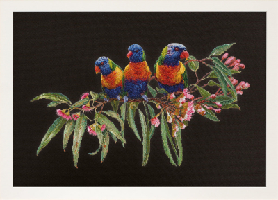 click here to view larger image of Lorrikeets - Black Aida (counted cross stitch kit)