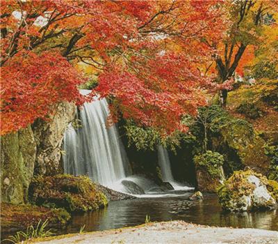 click here to view larger image of Autumn Waterfall (Large Crop) (chart)