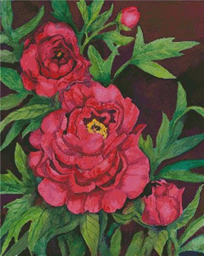 click here to view larger image of Peonies in Deep Red (chart)