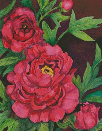 click here to view larger image of Peonies in Deep Red (Crop) (chart)