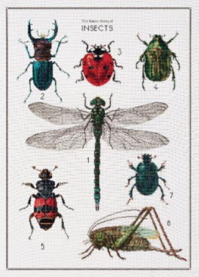 click here to view larger image of History of Insects, The (counted cross stitch kit)