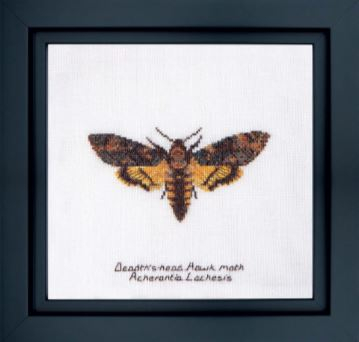 click here to view larger image of Deaths Head Hawk Moth (counted cross stitch kit)