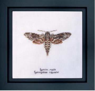 click here to view larger image of Sphinx Moth (counted cross stitch kit)
