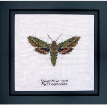 click here to view larger image of Spurge Hawk Moth (counted cross stitch kit)
