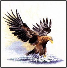 click here to view larger image of Eagle in Flight (chart)