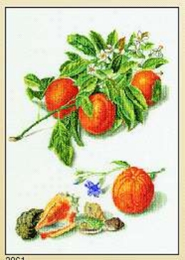 click here to view larger image of Oranges & Blossoms (counted cross stitch kit)