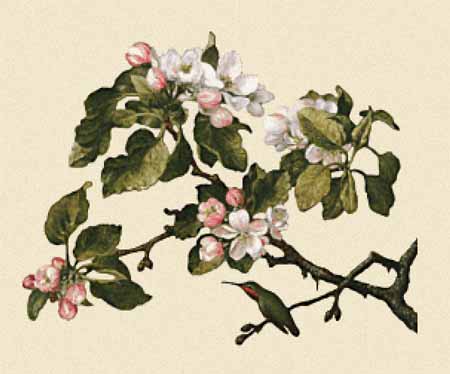 click here to view larger image of Hummingbird With Apple Blossoms  (chart)