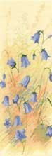 click here to view larger image of Scotch Harebells (counted cross stitch kit)