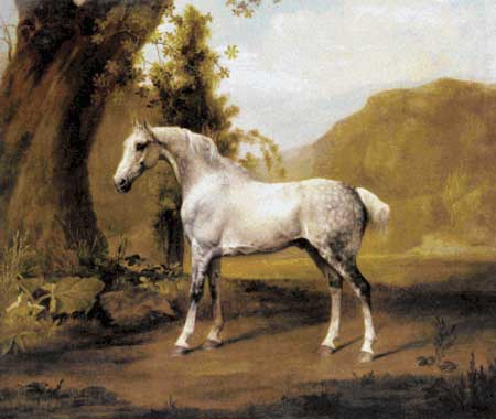 click here to view larger image of Grey Stallion in a Landscape (chart)