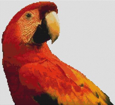 click here to view larger image of Red Macaw (chart)
