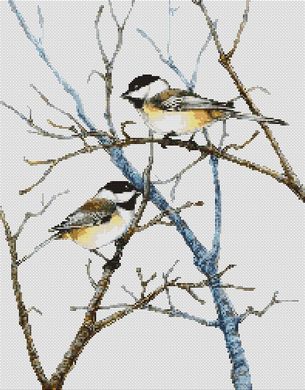 click here to view larger image of Chickadees (chart)