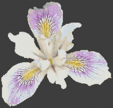 click here to view larger image of Beautiful Iris (chart)
