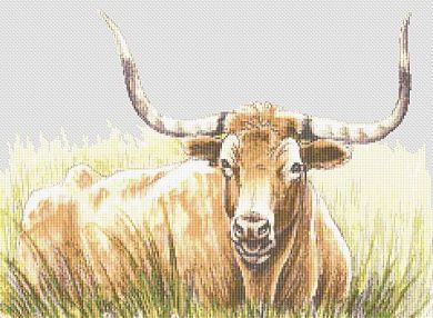click here to view larger image of Texas Longhorn (chart)