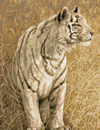 click here to view larger image of White Light Tiger (chart)