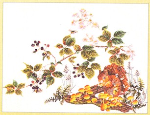 click here to view larger image of Squirrel - Linen (counted cross stitch kit)